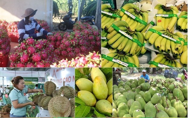 Fruit and vegetable exports gross nearly US$1.25 billion in Q1